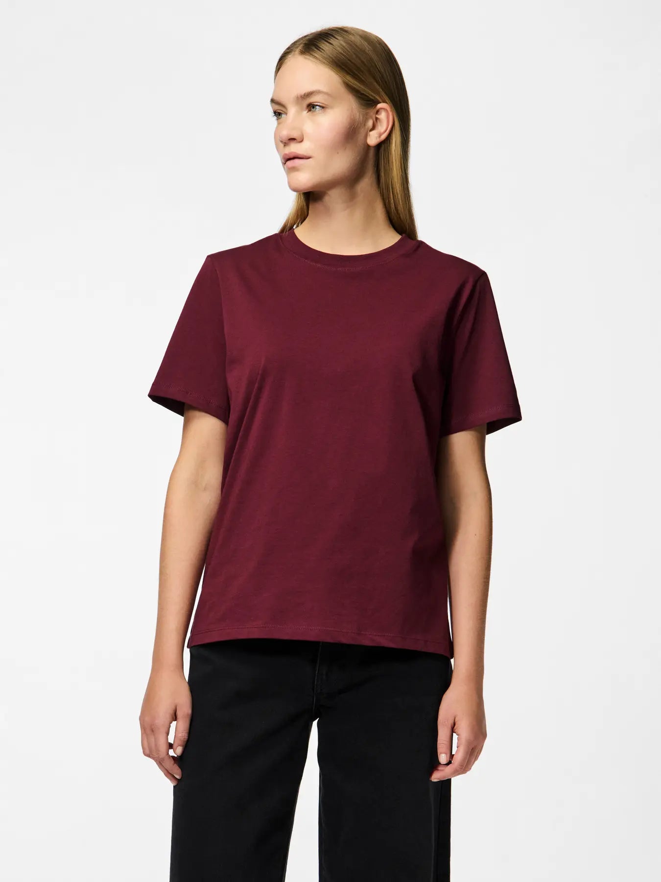 Person wearing a burgundy t-shirt on a white background