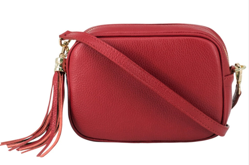 Leather Camera Crossbody Bag PS233